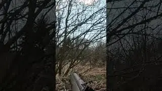 Upgraded S&T SMLE No1 MK3 #airsoft #sniper #gameplay