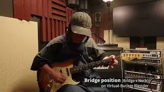 【ショートデモ】Fender Tex-Mex TL pickups with Virtual-Bucker Blender