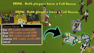 100$ Donation gamble, Profit or Lose?  - RuneWild rsps MASSIVE GIVEAWAY!