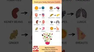 Food as Medicine: Which Foods Benefit Which Organs?
