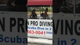 What Makes American Pro Diving Unique? Find Out! 🤿 #DiveShop #CrystalRiver