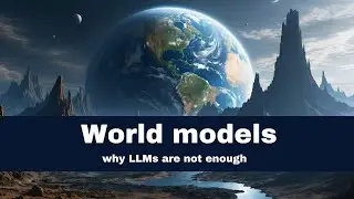 World models: LLMs are not enough