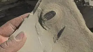 Chasing History: Green River Leaves
