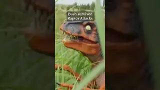 Bush Survivor: Surviving a Raptor Attack in the Wild