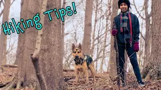 3 Beginner Tips for Hiking with a German Shepherd Dog