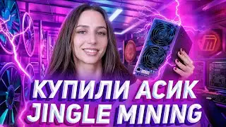 ⚡️ Купили асик за $2000 у Jingle Mining | Домашний майнинг $ALEO