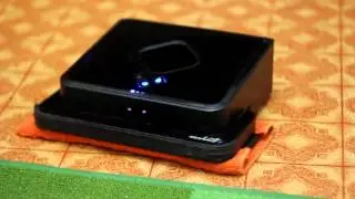 MVI 9813