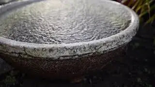 Rain-drops on Pond White Noise | Sleep, Study or Focus with [Relaxing Sound 2021]
