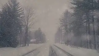 Cold Wind and Heavy Snowstorm at Night | Howling Blizzard Sounds for Deep Relaxation
