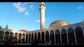 Exploring St. John's Wood, Gail's Bakery, London Central Mosque & Regent's Park | London Sightseeing