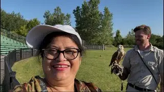 Canada te Birds Show দেখে এলাম । #birdsshow#animals #🦎🦘🦟🕊️🦩🦢🍁🇨🇦😍❤️