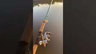 Which white braid do yall use? Rod:St. Croix 7'6