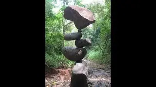 Dynamic of system of particles / Center of Mass , Linear Momentum  and Angular Momentum