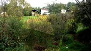 LUDBREŠKI VINOGRADI