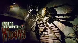 Widows Haunted House | Knott's Scary Farm 2025 Walkthrough POV