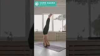 Start asana at home :) #KeepUpYourAsana #shorts #yoga #coreworkout #fit #home #workout