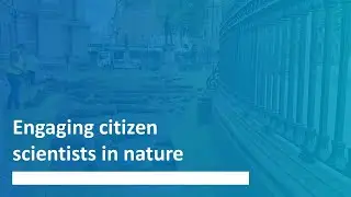 Engaging citizen scientists in nature - Trinity Research Stories