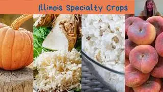 Specialty Crop Lesson