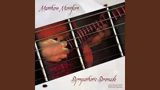 Sympathetic Serenade