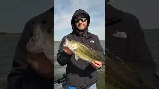 Lake Fork Largemouth Bass Caught By a McFarland Fishing Client. 