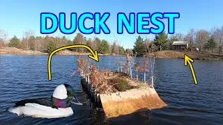 Building a Duck Nesting Raft at our Off Grid Cabin in the Canadian Wilderness
