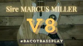 SIRE MARCUS MILLER - V8 | #bacotbassplay - 28