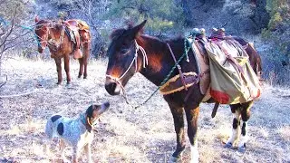 Wilderness Camping .. ACCIDENT .. couldn't believe it