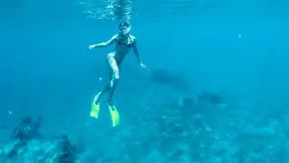 Best of Snorkeling on Singer Island, FL.