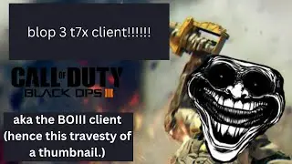 BOIII WHAT U SAY ABOUT PHONK (client, t7x for bo3)