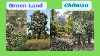 #Hariyo Ban Nepal Ko Dhan /Green Land Chitwan /Ban Bhitra Man /DbrVlogs1