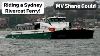 RiverCat Ferry MV &ldquo;Shane Gould&rdquo; Makes Appearance at Neutral Bay! | Ferry Vlog #49