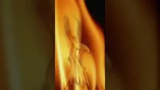 Война - Денис Клеймёнов