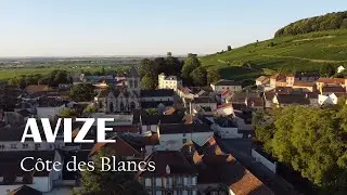 Avize : C&ocirc;te des Blancs