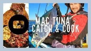 Mac Tuna Catch & Cook  / Sashimi and Crumbed