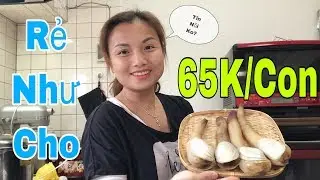 🇯🇵Chế biến & Ăn Ốc V&ograve;i Voi Hấp Xả  65K/con Gi&aacute; Rẻ Như Cho  #147