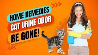 Top 5 Home Remedies of Old Cat Urine Odor Removal | Remedies for Banishing Old Urine Odors!