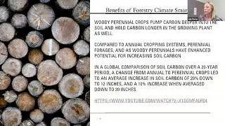 Woodland Wednesday: Conservation Climate Smart Practices and Timber Stand Improvements