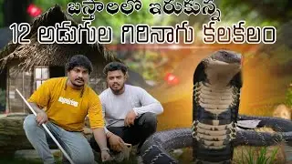 బస్తాల లో ఇరుకున్నా 12 అడుగుల గిరినాగు కలకలం #wild Venkat#viral #snake