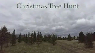 Christmas Tree Hunt