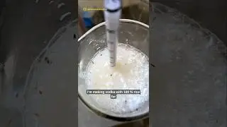 Trying to make 100% Rice Vodka (Day 34/365 Fermentation Challenge)