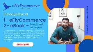 Introducing eFlyCommerce - Your E-commerce Growth Partner & Discover eBook: Amazon PPC Strategies