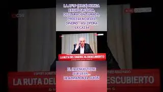 EL INGENUO #argentina #noticias #meme #new #twitter #youtubeshort #mundo #news #youtube #tiktok #nyc