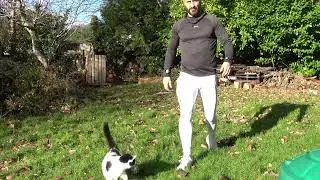 Cat Dad Agility Training