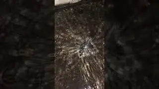 Drain Sound - Unusual Noise Caused By High Water Pressure + Rain Water
