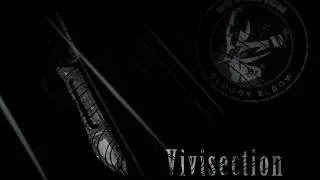 MMA Vivisection - Invicta FC 9: Honchak vs. Hashi