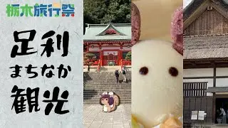 【栃木旅行祭】七色の鳥居　日本最古の学校　夏の足利まちなか観光！【VOICEROID旅行】
