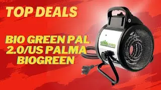 Bio Green  Palma BioGreen 2022