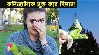 দুর্ভাগা (কথা বলা) টিয়া ছানার জীবন কাহিনী | Bird Story - 104 | The life story of Parrot Bird | Ep:02