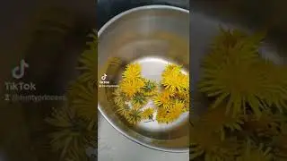 Dandelion tea an excellent source of potassium,minerals & electrolytes that stimulates the heartbeat