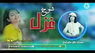 شندې ګل مایزروال ـ شوخ غزل ــ 0785653336 او 0767313078